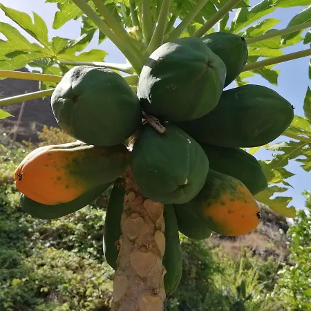 Casa Juana * Valle Gran Rey