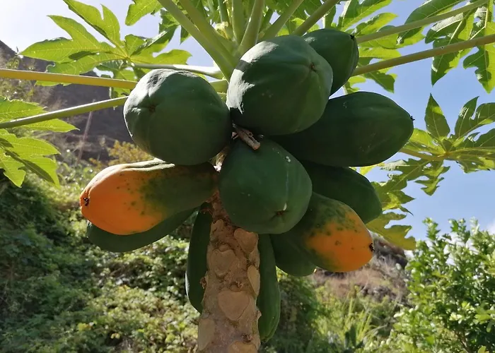 Casa Juana * Valle Gran Rey